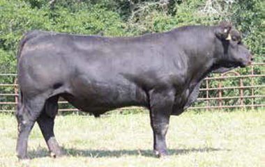 Lot 16 - 103X TG 5123D ET